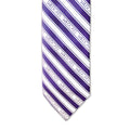 Weber State Youth Tie
