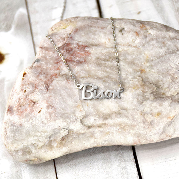 Fan Frenzy Gifts North Dakota State Bison Officially Licensed Bison Script Necklace