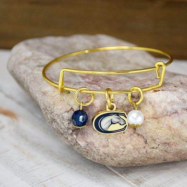 Fan Frenzy Gifts UC Davis Aggies Officially Licensed Bangle Bracelet