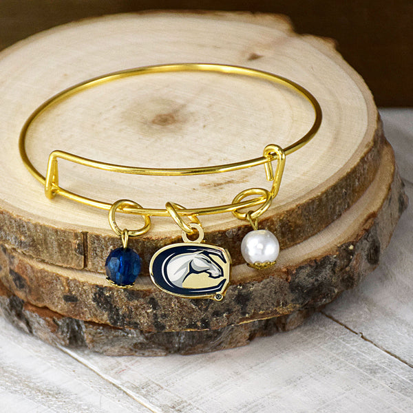 Fan Frenzy Gifts UC Davis Aggies Officially Licensed Bangle Bracelet