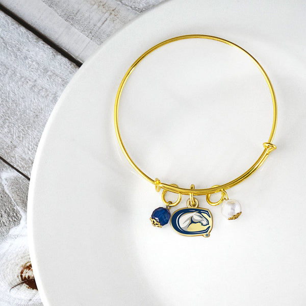 Fan Frenzy Gifts UC Davis Aggies Officially Licensed Bangle Bracelet