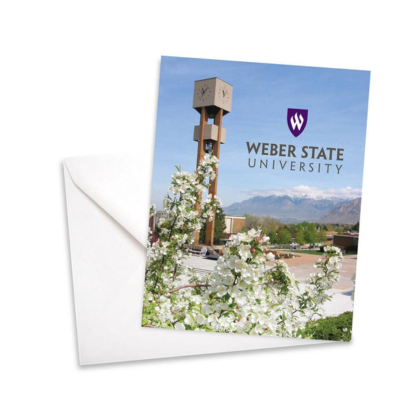 Fan Frenzy Gifts Weber State Wildcats Officially Licensed Photo Thank You Card 10-pack