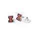 Fan Frenzy Gifts Illinois Fighting Illini Officially Licensed Post Earrings
