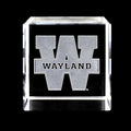 Wayland Baptist Pioneers Crystal Cube